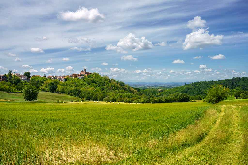 Provincia di Alessandria